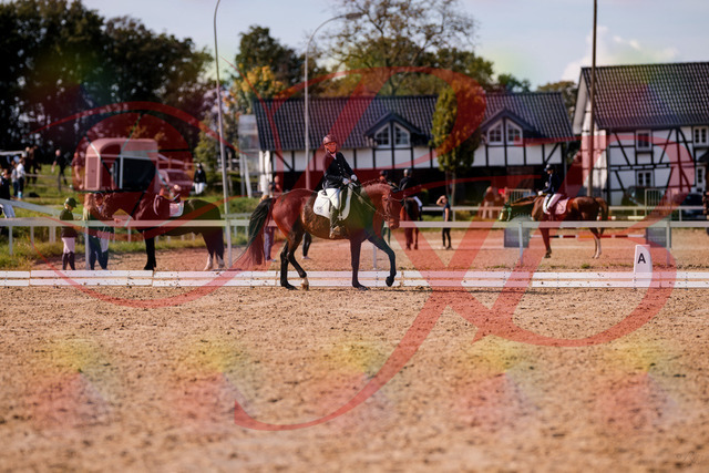 2026_10_03_Siefer-Hof_133903_Z81_98331974 | Professionelle Reitsport-, Turnier- und Eventfotografie von Robert Broda. Galerien mit ausgewählten und bearbeiteten Bildern direkt online ansehen und bestellen.