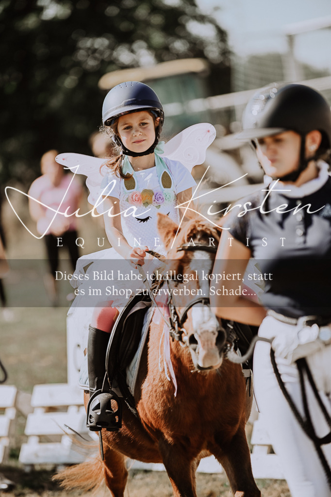 DSC_9120 | Pferde- und Turnierfotografie in Westsachsen. Pferdeportraits, Auftragszeichnungen und intuitive Kunst.