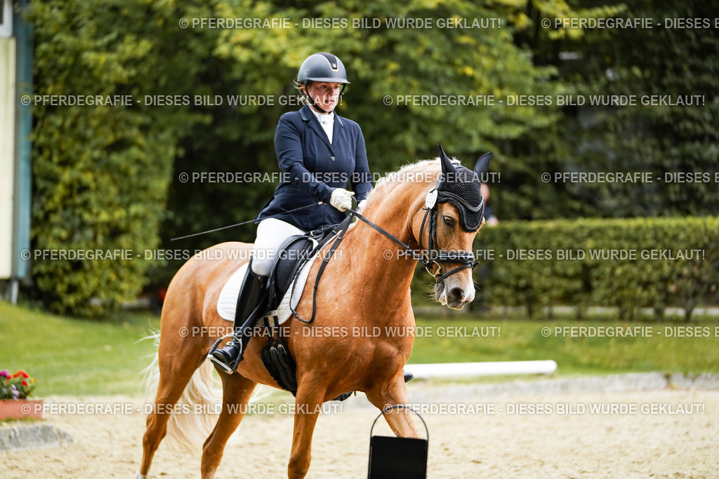 DSC00737 | Pferdegrafie