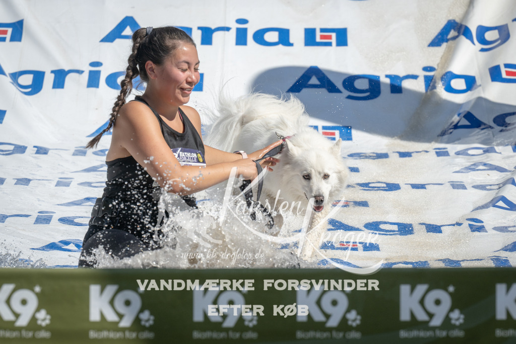 1213_ZZ95421 | kk-dogfotos