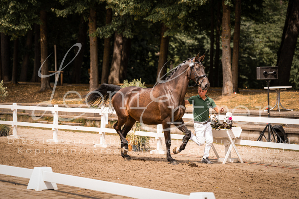 3.Fr00040 | Leoni Ertmer Photography - Realisiert mit Pictrs.com