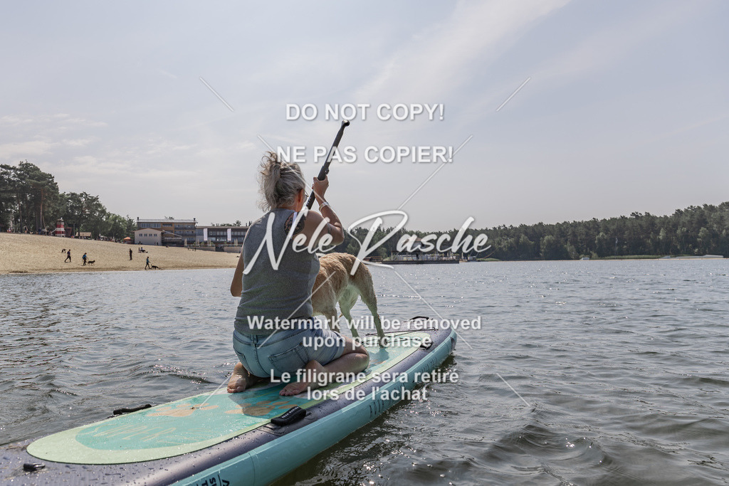 BUHU_SUP_465 | nelerasche