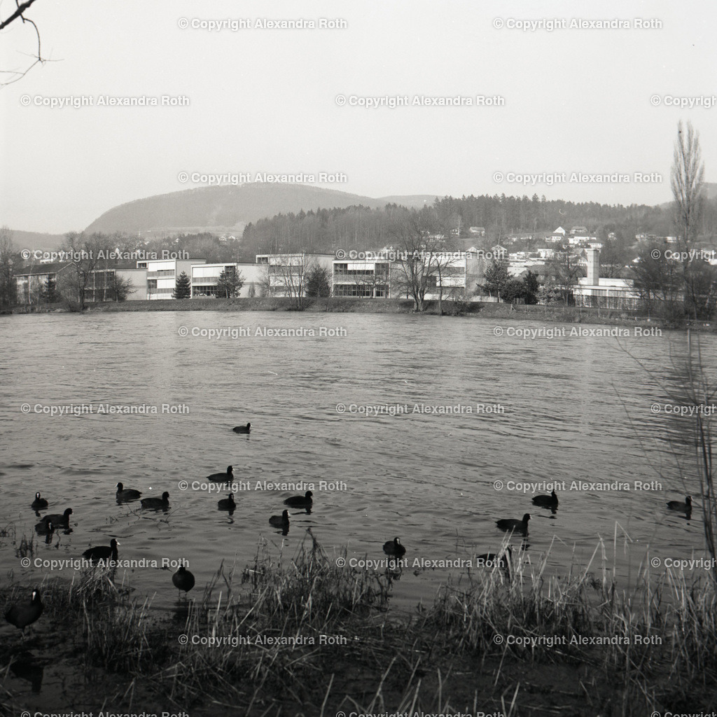 Aarau_0348 | onlineshop - Realisiert mit Pictrs.com