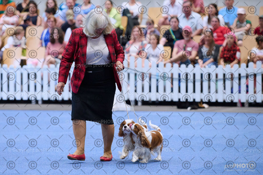 202406_ÖKV-IHA-Tulln24_DSC_3713 | proPHOTO - Realisiert mit Pictrs.com