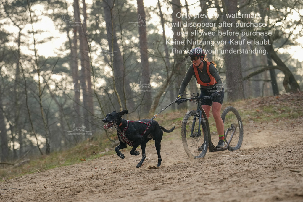 Scooter1-23 | stephaniefillaphotographie - Realisiert mit Pictrs.com