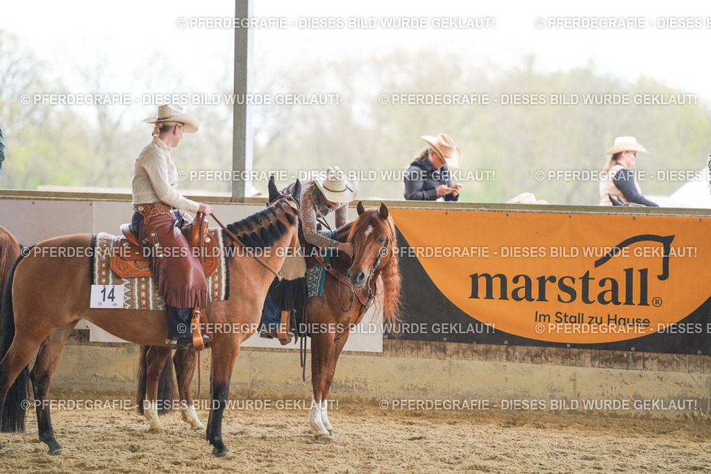 DSC03253 | Pferdegrafie