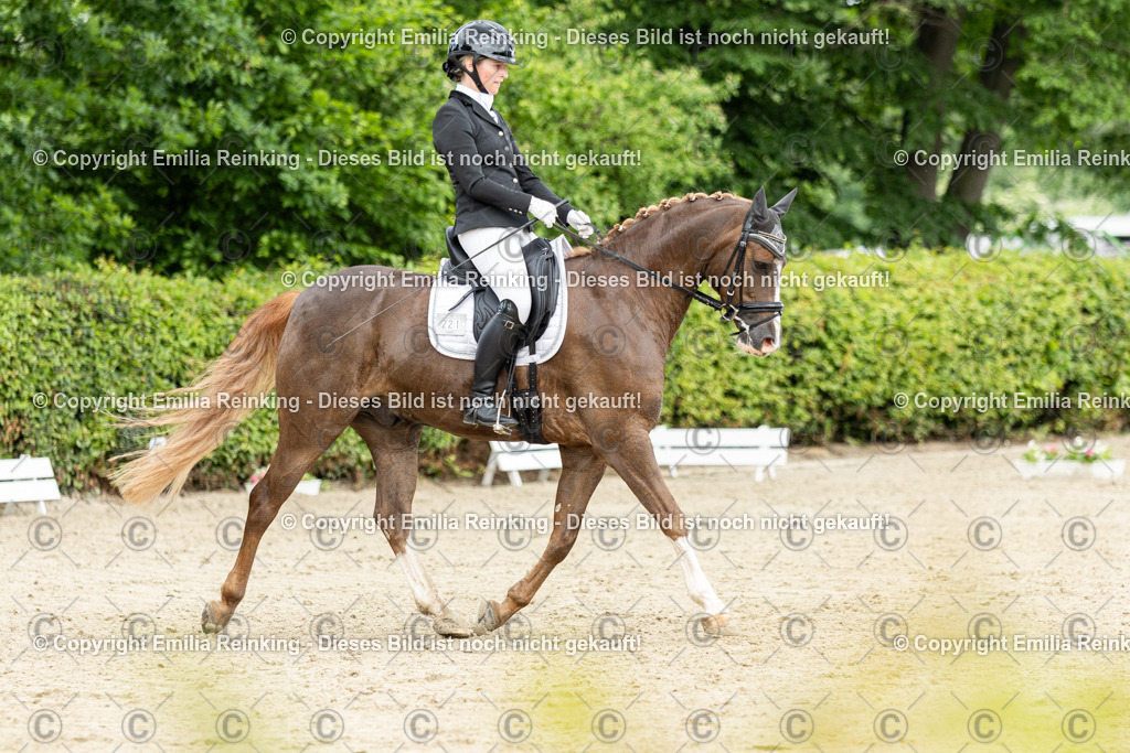 CL5A1348 | Emilia Reinking Fotografie - Realisiert mit Pictrs.com