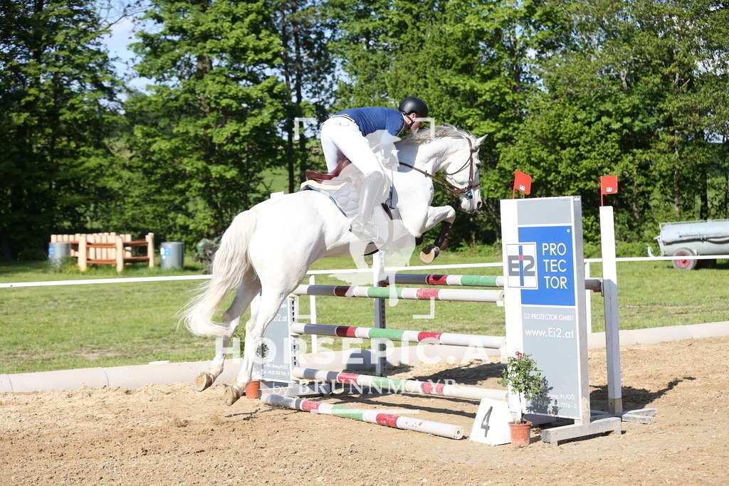 DL2Q2727 | Willkommen bei Brunnmayr - Design & Fotografie – Ihrem Spezialisten für Reitturniere und Pferdeveranstaltungen in Oberösterreich, Salzburg und Bayern! Seit über 17 Jahren sind wir leidenschaftlich dabei.