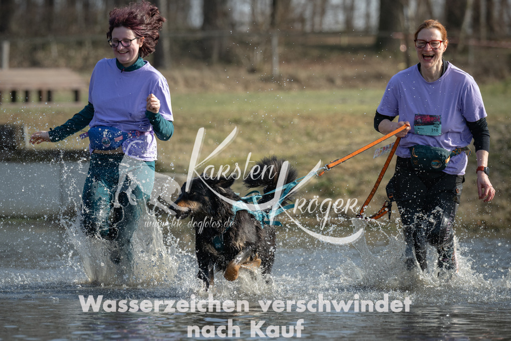 1337_ZZ97594 | kk-dogfotos