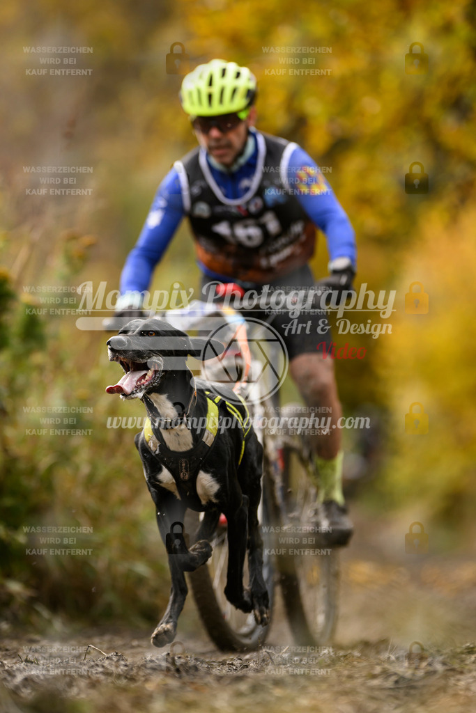 MompixPhotography_ICF_WC_2024_SA_Bike_-208 | PayLife