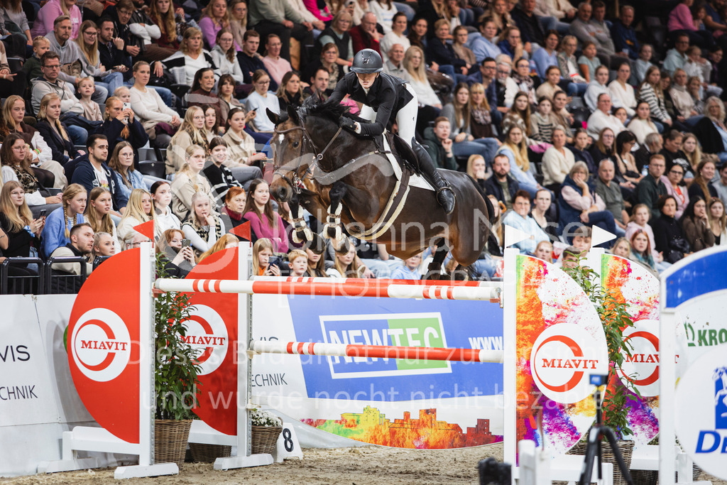 251102_OLD_S4-Spr_GP-909 | AGRAVIS Cup Oldenburg 2025 | S****-Springen | Große Tour