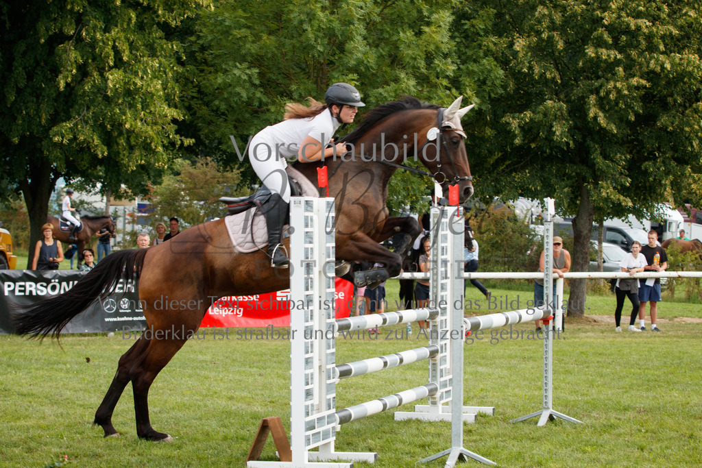 IMG_2608 | P. Berger Fotografie - Realisiert mit Pictrs.com