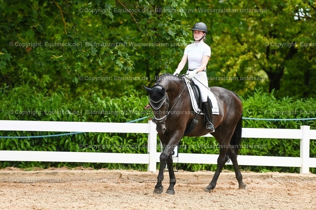 20230715_05_Dressurprüfung Kl.A++_0310 | equistock