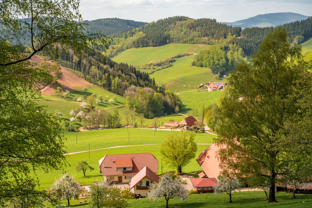 Ausblick in den Büchern | Ausblick über dem Buchjockenhof - Realisiert mit Pictrs.com