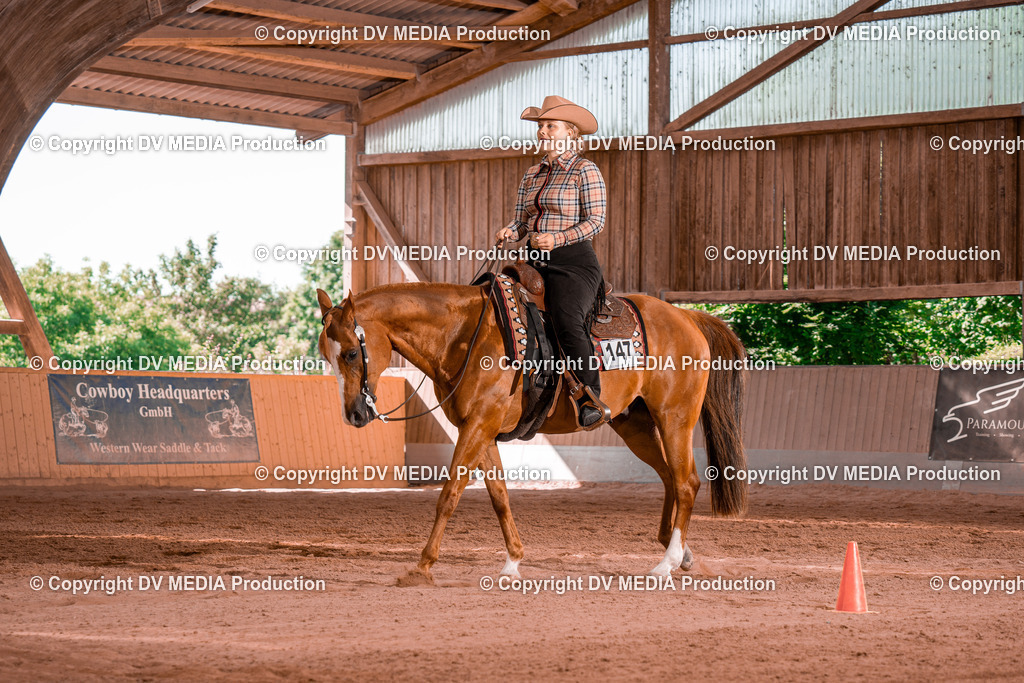 NE100260 | dv-media-shop - Realisiert mit Pictrs.com