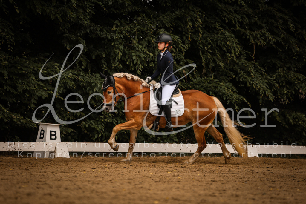 DoDrE00324 | Leoni Ertmer Photography - Realisiert mit Pictrs.com