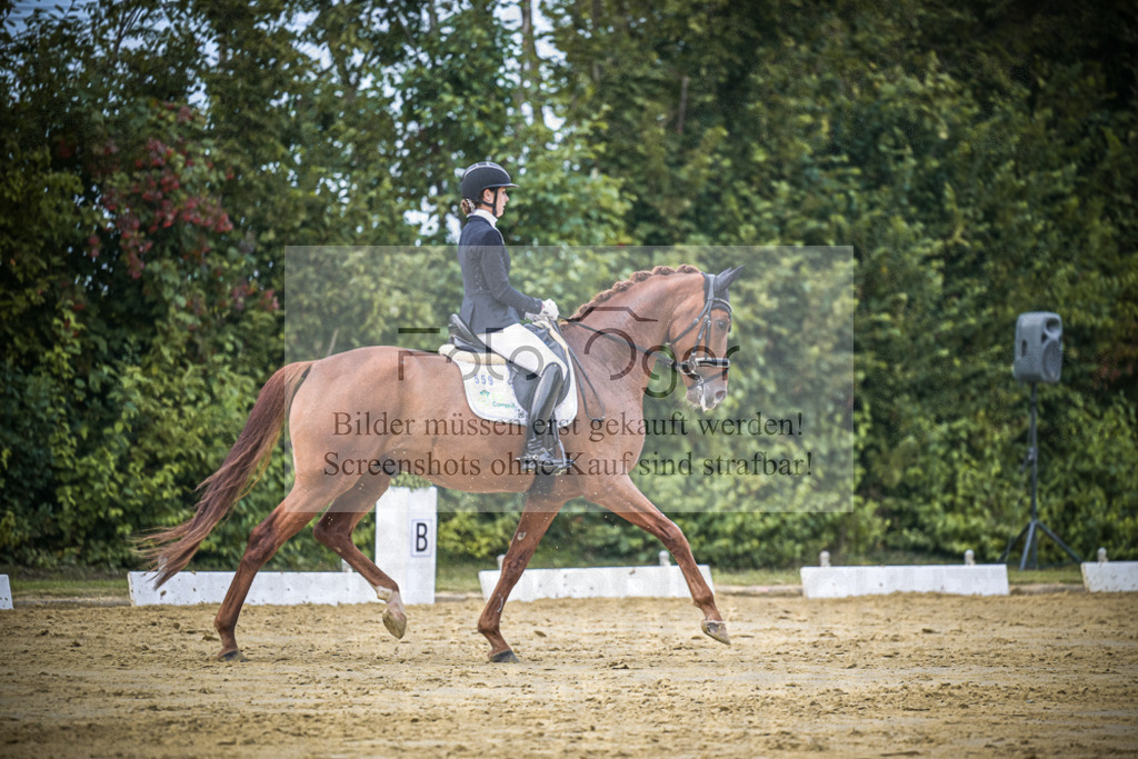 DOS_9276 | Entdecke hochwertige Reitturnierfotos von Foto Oger. Professionell, emotional und authentisch – jetzt Lieblingsmomente im Shop bestellen.Deutschlandweite Turnierfotografie. - Realisiert mit Pictrs.com