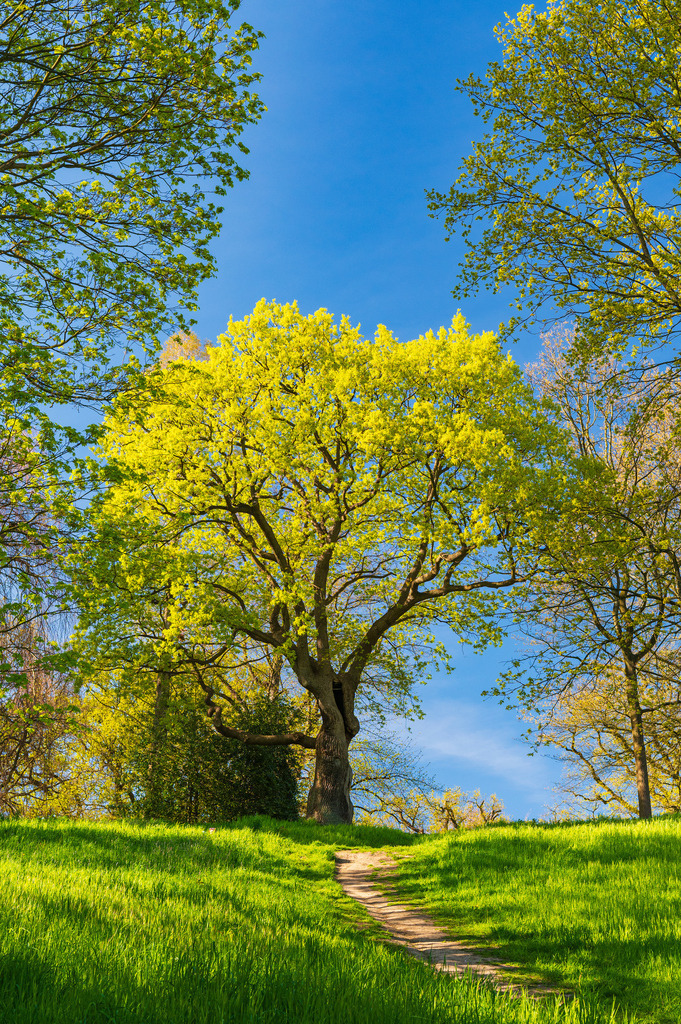 2023_04_30_HH-OEVELGONNE_MCP8050 | Hochwertig gedruckte Fotografien für die Wand, als Kalender und zum Verschenken. Hamburg & Norddeutschland und überall wo ich mit der Kamera unterwegs war.