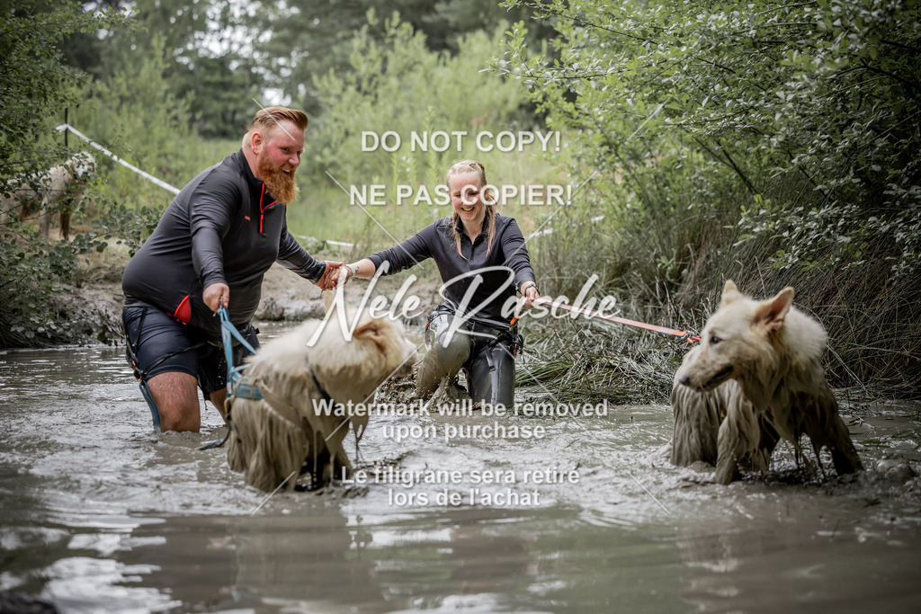 nelerasche_so0800-0930_458 | nelerasche