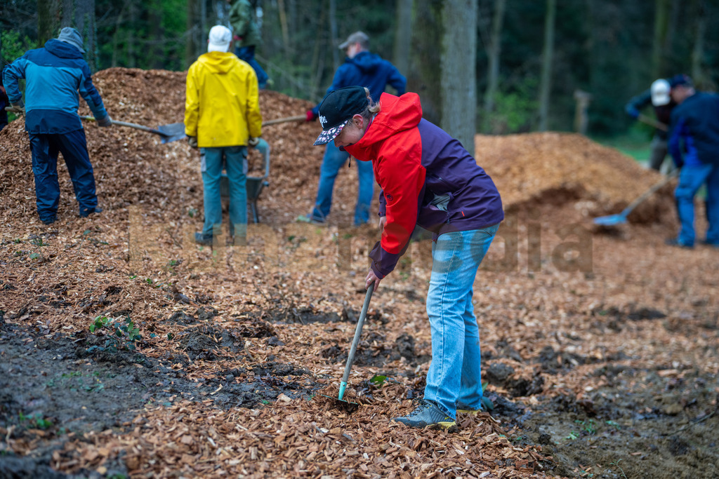 083_Waldputzete Reinacher Wald_kunzmedia.ch | OnlineShop für Bilder kunzmedia.ch
