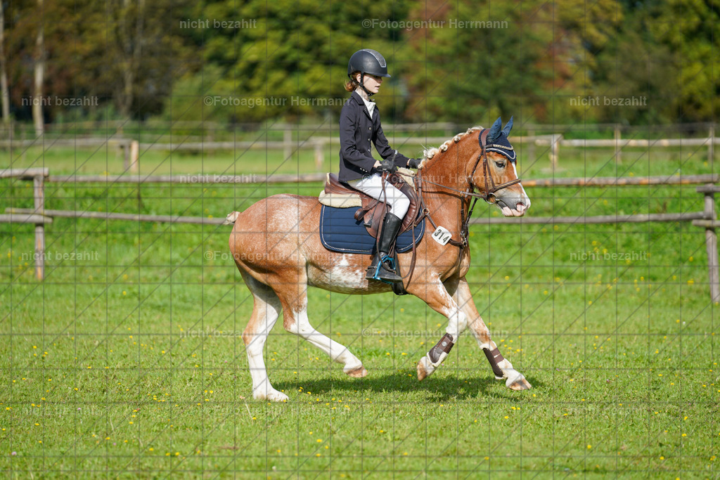 20230917-FAH09225 | Landsberg am Lech, 2023, Kaufbeuren, Kempten, Allgäu, Turnierfotografen Bayern, Fotoagentur Herrmann, Turnierbilder, Reitsport Fotos, Pferdefotograf, Augsburg, Bad Tölz, Dachau, Karlsfeld, Memmingen, Buchloe, Schwabmünchen