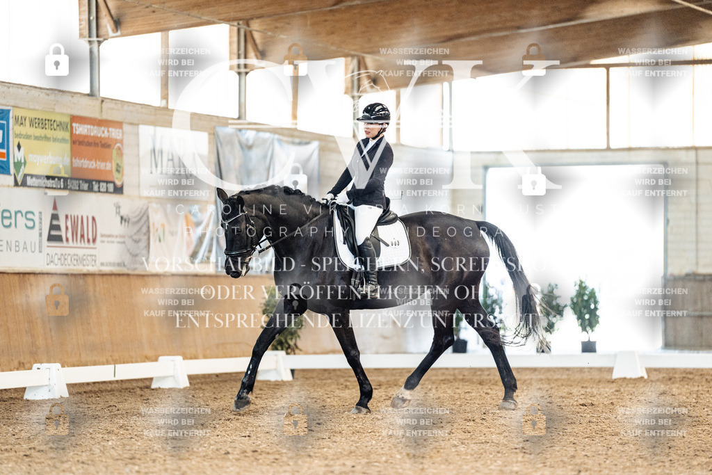 CK909491 | Turnierfotografie Pferdefotografie Trier Rheinland-Pfalz Pferdesport Reitsport Tierfotografie Sportfotografie Pferdevideo Pferdevideografie Equestrianvideography equestrianphotography  - Realisiert mit Pictrs.com