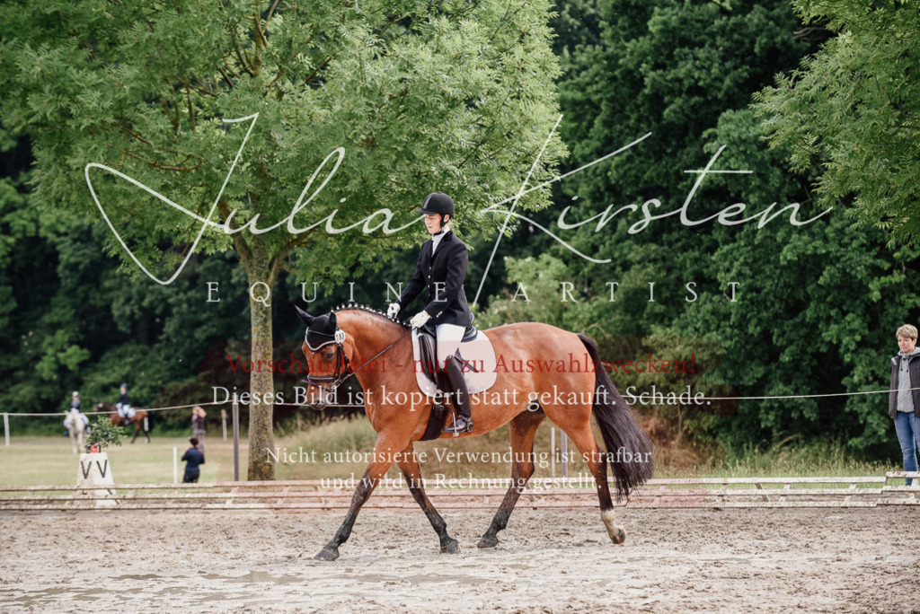 DSC_9774 | Pferde- und Turnierfotografie in Westsachsen. Pferdeportraits, Auftragszeichnungen und intuitive Kunst.