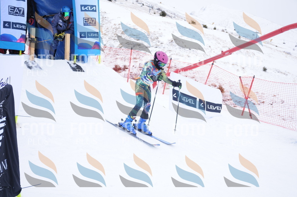 DSC_7857 | holidayphoto