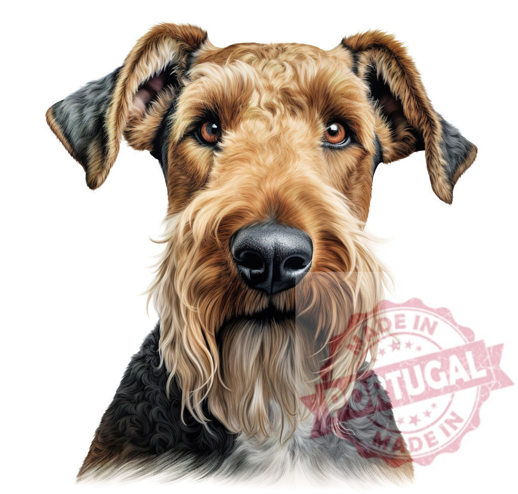 Airedale Terrier dog head portrait on white background | Professional artful dog portraits Airedale Terrier dog having a serious expression, isolated on a white background - Realisiert mit Pictrs.com