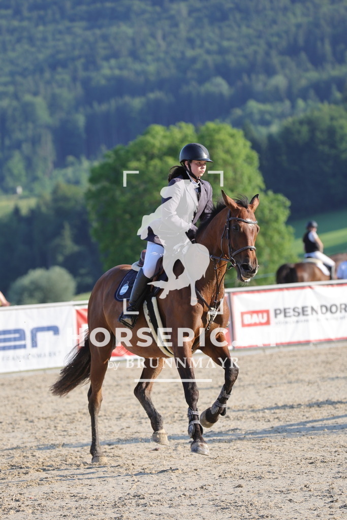 0P6A7026 | Willkommen bei Brunnmayr - Design & Fotografie – Ihrem Spezialisten für Reitturniere und Pferdeveranstaltungen in Oberösterreich, Salzburg und Bayern! Seit über 17 Jahren sind wir leidenschaftlich dabei.