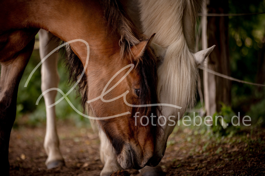 846A0452 | fotosleben - Realisiert mit Pictrs.com