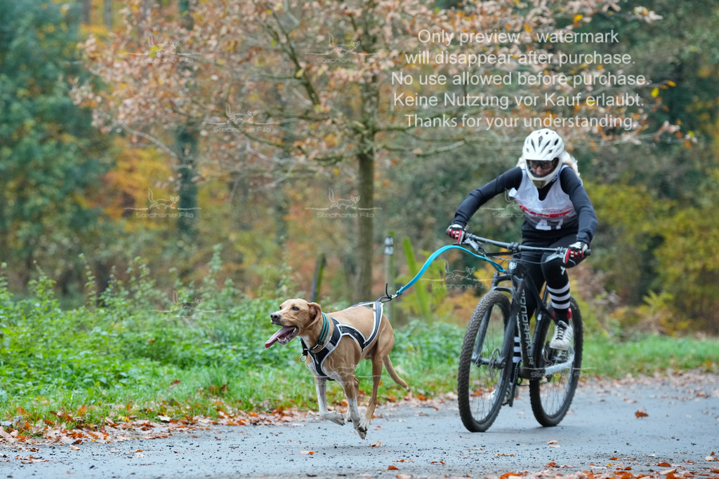 Bike_So-42 | stephaniefillaphotographie - Realisiert mit Pictrs.com