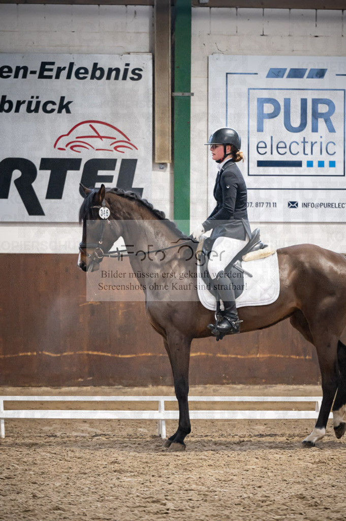 Hallenreittunier Voxtrup 2023 | Entdecke hochwertige Reitturnierfotos von Foto Oger. Professionell, emotional und authentisch – jetzt Lieblingsmomente im Shop bestellen. - Realisiert mit Pictrs.com