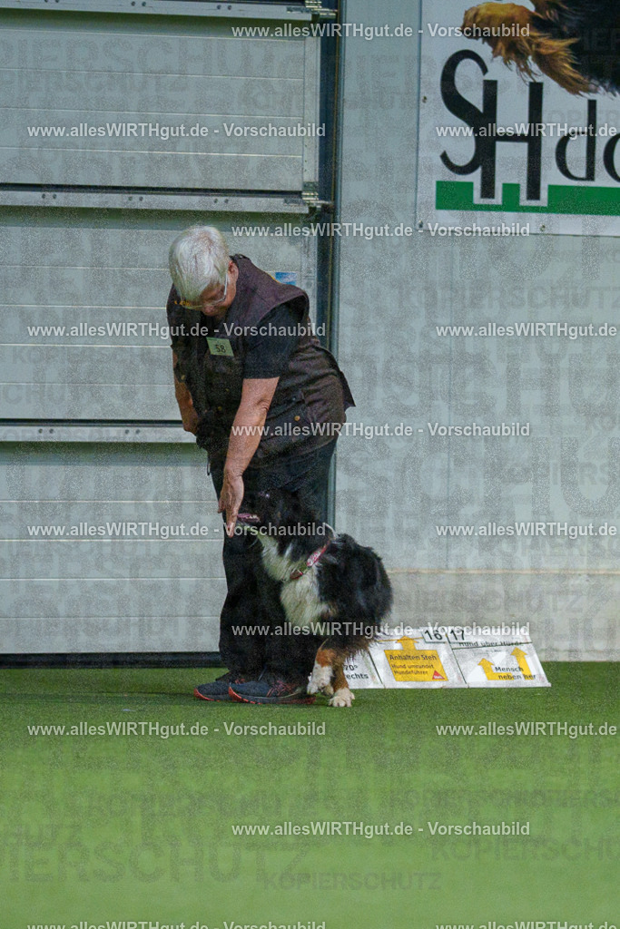 7R507108 | Professionelle Tierfotografie in Mönchengladbach von Daniel Wirth (allesWIRTHgut). Liebevolle & natürliche Bilder von Hunden & Katzen für unvergessliche Erinnerungen.