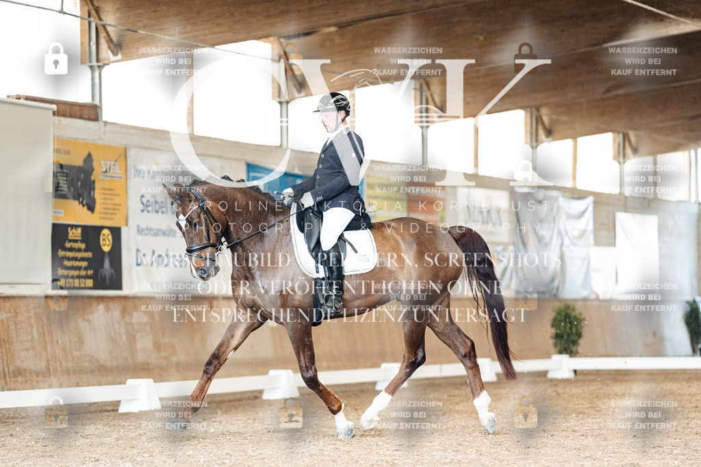 CK901604 | Turnierfotografie Pferdefotografie Trier Rheinland-Pfalz Pferdesport Reitsport Tierfotografie Sportfotografie Pferdevideo Pferdevideografie Equestrianvideography equestrianphotography  - Realisiert mit Pictrs.com
