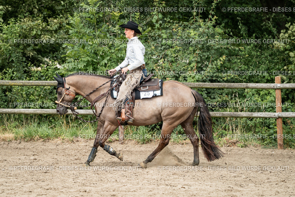 DSC02299 | Pferdegrafie