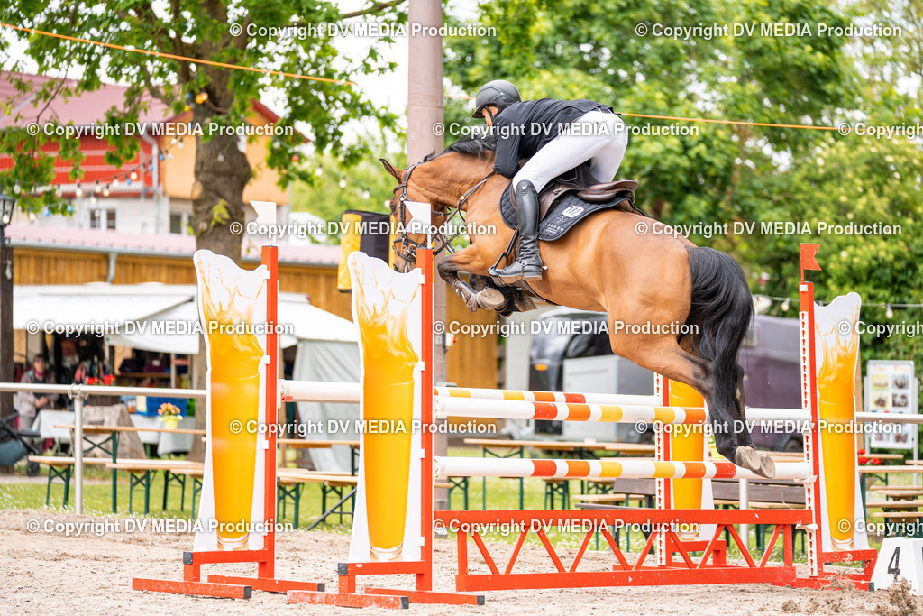 Eppelheim Tag 1-149 | dv-media-shop - Realisiert mit Pictrs.com