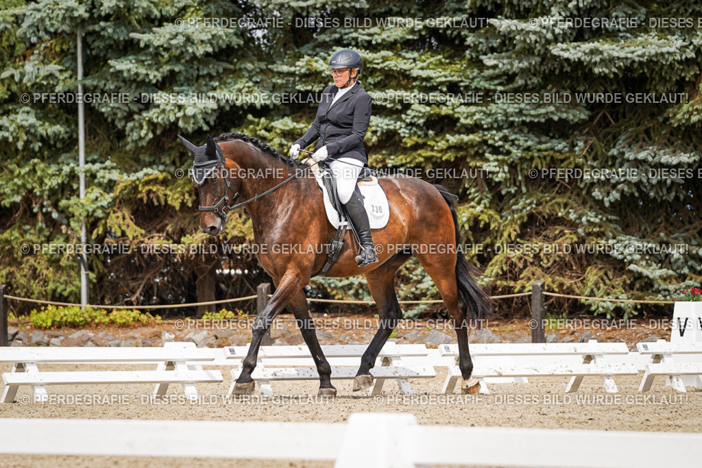 DSC03683 | Pferdegrafie