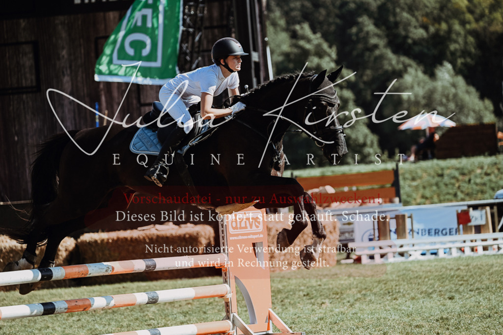 DSC_6684 | Pferde- und Turnierfotografie in Westsachsen. Pferdeportraits, Auftragszeichnungen und intuitive Kunst.