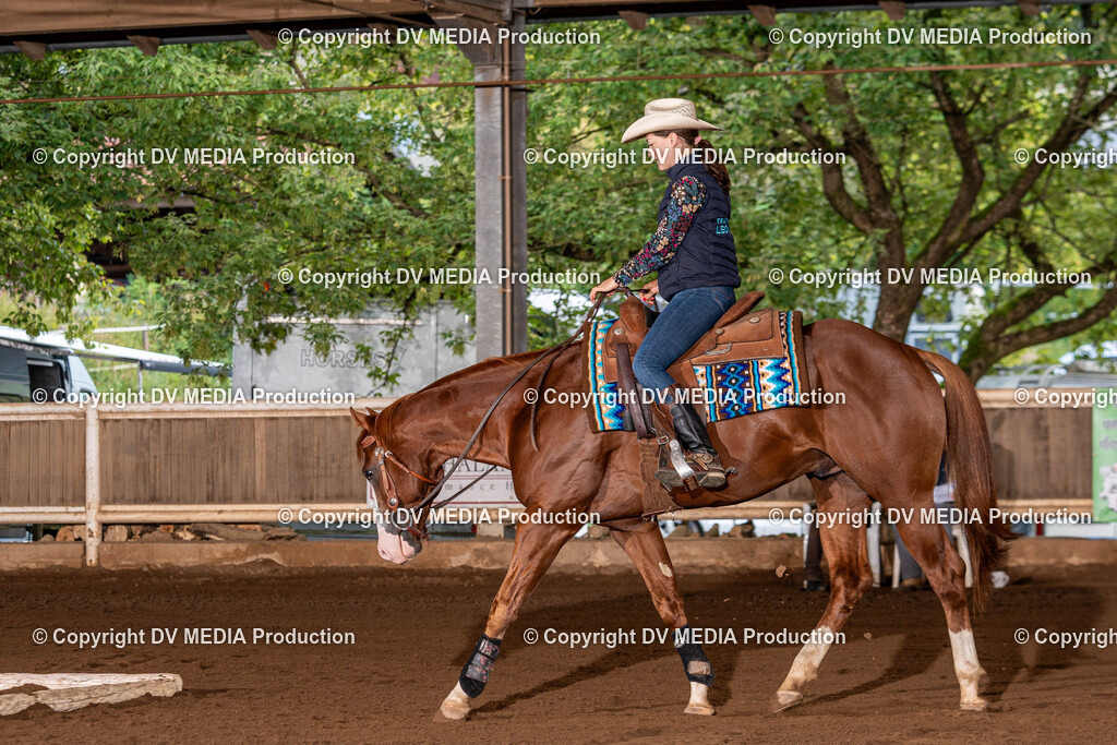 Erbach Tag 2-51 | dv-media-shop - Realisiert mit Pictrs.com