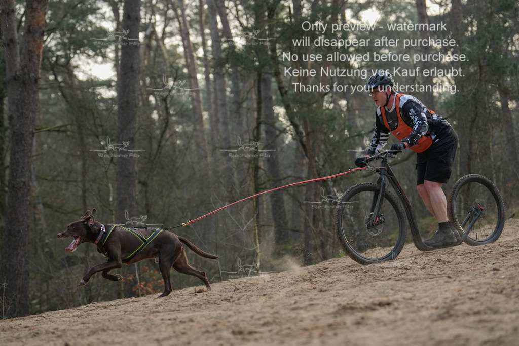 Scooter1-56 | stephaniefillaphotographie - Realisiert mit Pictrs.com