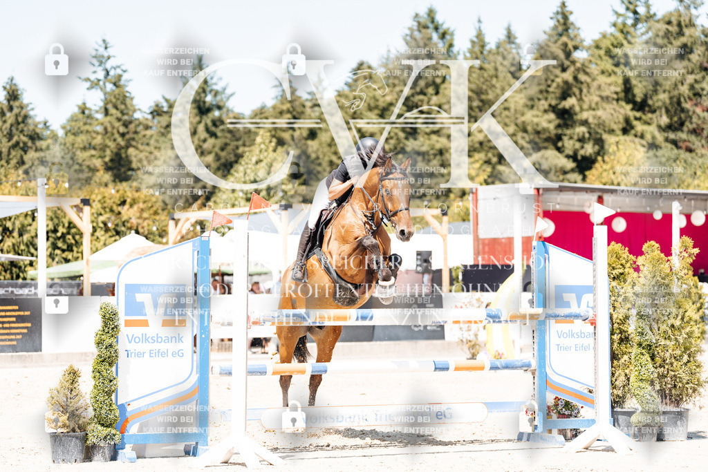 CK900578 | Turnierfotografie Pferdefotografie Trier Rheinland-Pfalz Pferdesport Reitsport Tierfotografie Sportfotografie Pferdevideo Pferdevideografie Equestrianvideography equestrianphotography  - Realisiert mit Pictrs.com