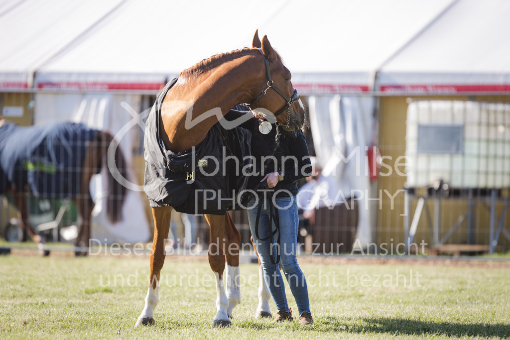 220603_CSI-Wohlde_Chillen-5 | CSI** Wohlde
Chill Out Area
03.06.2022