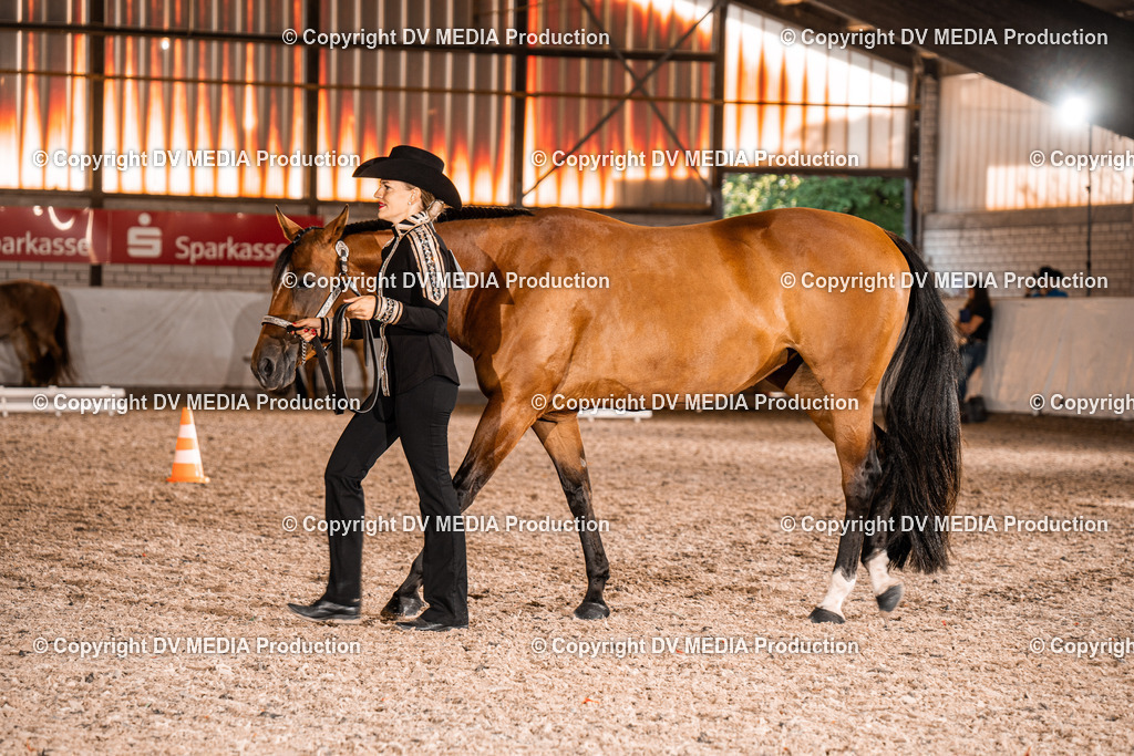 ZH100155 | dv-media-shop - Realisiert mit Pictrs.com