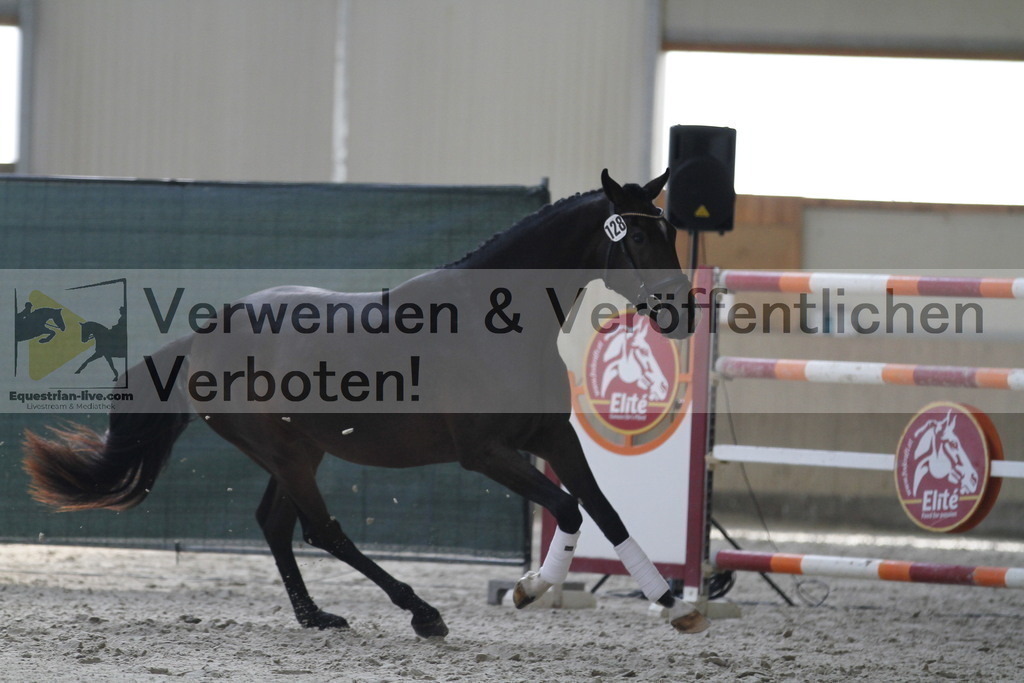 _MG_9853 | equestrian-live-com