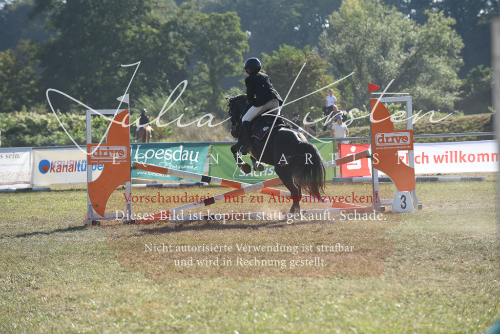 DSC_5752 | Pferde- und Turnierfotografie in Westsachsen. Pferdeportraits, Auftragszeichnungen und intuitive Kunst.