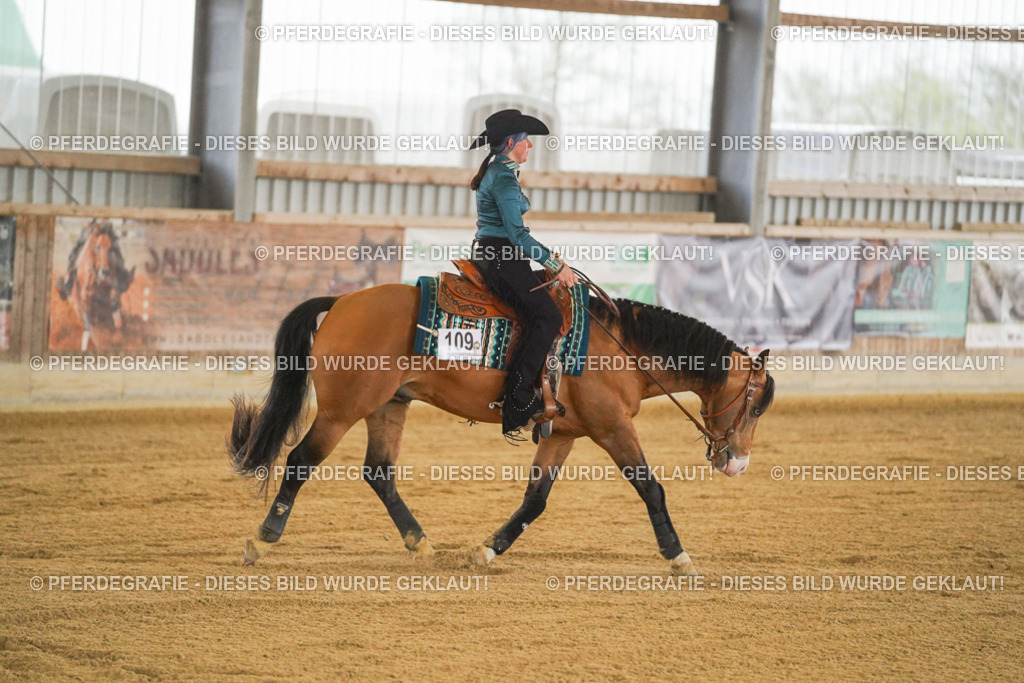 DSC09828 | Pferdegrafie