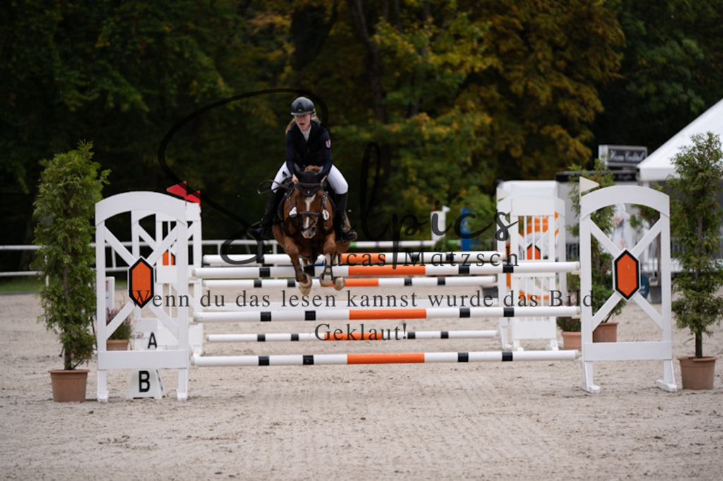 A7V01043 | Pferdefotograf