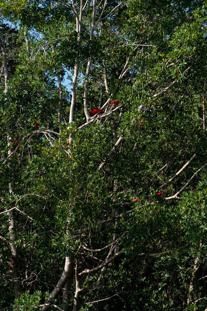 20251118-DeltaTour-0039 | paulependelt - Realisiert mit Pictrs.com