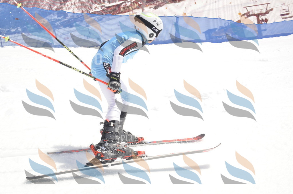 _ELE8556 | holidayphoto